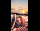 【日間賀島】灼熱の猫探しロケ終わりに見た絶景の夕陽【本編予告】