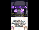 ゆかつむネットミーム解説【やりました…やったんですよ! 必死に!】