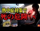 【2010】『脳が煮える病気』間違った熱中症対策で熱中症に罹り緊急搬送…冷房の効いた車内で飲み物をたっぷり飲んでいたのに何故？誤った対策とカフェイン飲料のリスクを解説（ﾘﾒｲｸ