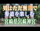 宮崎県　宮崎神宮　参道をたのしむ!