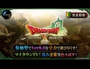【ドラクエ10】#82　マイタウンの為に盗み金策等色々試す！咎人とか参加型で色んなコンテンツもやるよ！　ドラゴンクエストX　オンライン【DQ10】【DQX】初見歓迎・参加型