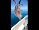 【100均釣り】ダイソーのタイラバで真鯛は釣れるのか？水深55mで検証してみた