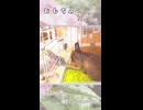 【うさぎ 13歳･5歳】おもちゃ
