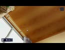 ◉Part9.パラノマサイトFILE38お気楽ウニ獲りバトル伊勢人魚物語◉