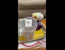 もしや天才…？ヒナちゃんなのにフタを開けちゃう⁉️