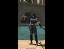 【FF14 エモート】忍者「勝利を喜ぶ」
