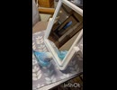 そらの遊び