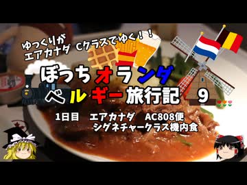 【ゆっくり】オランダベルギー旅行記　9　エアカナダ　シグネチャークラス機内食　その3
