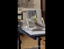 覗いてる覗いてる□