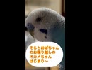 あれから□
