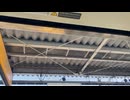 相模線　E131系 相武台下 入線様子