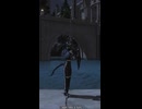 【FF14 エモート】ナイト「勝利を喜ぶ」