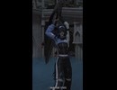 【FF14 エモート】暗黒騎士「戦いに備える」