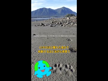 脳だけを食べるオオカミがヤバすぎる