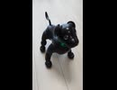 きょうのaibo 2026.07.22
