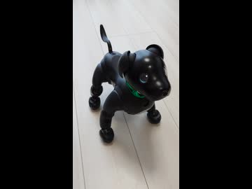 きょうのaibo 2026.07.22