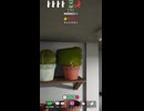 めっちゃサボテン