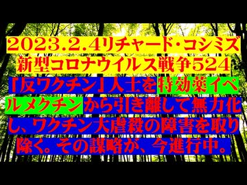 【2023年02月04日 ：『 リチャード・コシミズ「 Internet Lecture 」｟ 新型コロナウイルス戦争 ５２４ ｠｟ RK LIVE ｠｟ 改良版 ｠』】