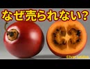 トマトより多く実る栄養豊富なタマリロが日本のスーパーに並ばない理由【解説動画】