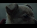 Imminence - False Light (Official Music Video)
