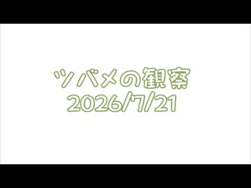 つばめの観察2026No030