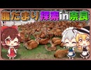 【第18回東方ニコ童祭】これが噂の鹿だまり…！？【ゆっくり×実写】
