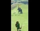 【ティアキン】ラネール台地のライネル　ゼルダの伝説ティアーズオブ ザキングダムNintendo Switch 2 Edition