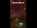 【ティアキン】清めの池のファントムガノン　ゼルダの伝説ティアーズオブザキングダムNintendo Switch 2 Edition