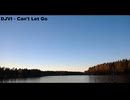 DJVI - Can't Let Go