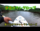 伊豆のマングローブ