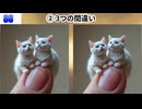 【！脳トレ+育脳に最適☆まちがい探しタイム！ 】＃583