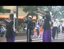 総踊り　正調よさこい鳴子踊り①　たまよさこい2026