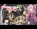 琴葉姉妹と行く釣行記録（海釣り編part51）