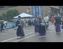 総踊り　正調よさこい鳴子踊り②　たまよさこい2026