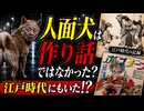 【都市伝説】人面犬は作り話ではなかった？江戸時代から続く奇妙な記録を徹底調査【日本で本当にあった奇妙な話】