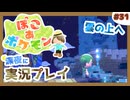 【ぽこ あ ポケモン】メタモン達とのんびり街づくり#31 (なんの縛りもなく初見プレイ）