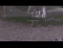【FF11】納涼です！涼しい場所と言えば？酷暑の夏にささやかな安らぎを……。