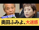 奥田ふみよがまた国会で暴走。あまりの迷惑っぷりに鈴木宗男がブチギレる。