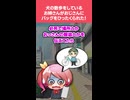 【2chスカッとスレ】犬の散歩をしているお姉さんがおじさんにバッグをひったくられた…＃スカッと