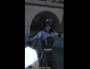 【FF14 エモート】白魔道士「勝利を喜ぶ」