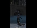 【FF14 エモート】賢者「戦いに備える」