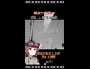 【感謝】特攻の記録を残した写真３選②