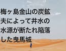 梅ヶ島金山の炭鉱夫によって井水の水源が断たれ陥落した曳馬城