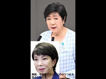 バカしかなれない日本の総理。テレビタレントしかなれない東京都知事。学歴詐称疑惑老婆が総理と都知事という終わっている日本　高市はシュローダー議員の無給インターンだったと自著にも記載あり