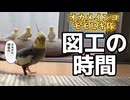 【衝撃】ガチDIYの結果、インコ達が選んだ行動が斜め上すぎたｗ□️□
