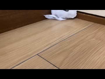 手抜き界隈