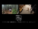【第427回】たけのこ掘り体験2026と、呼ばれたので…と、おいしいに