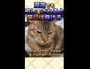 人間の布団っていうのは猫の布団なんですよ