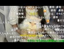 もちゅダンス 天使いお