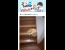 【暑すぎ】Xでバズったツイートが面白すぎる！ Part 144